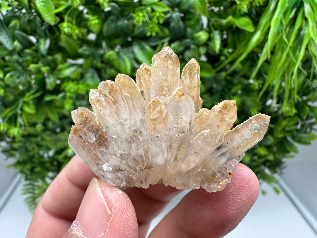 Transparent Quartz whit Siderite 9th September mine Bulgaria natural minerals souvenir crystal stone gift minerals collection rock