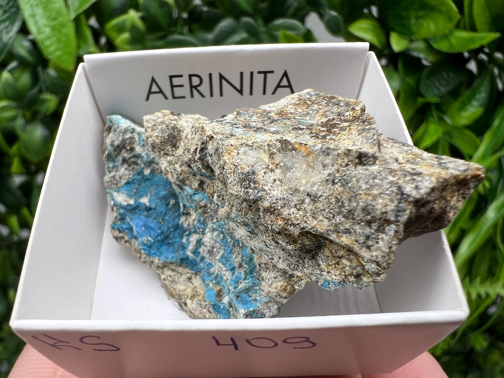 Rare Raw Aerinite Mineral Specimen: Collection Crystal from Lleida, Spain (5/3 cm