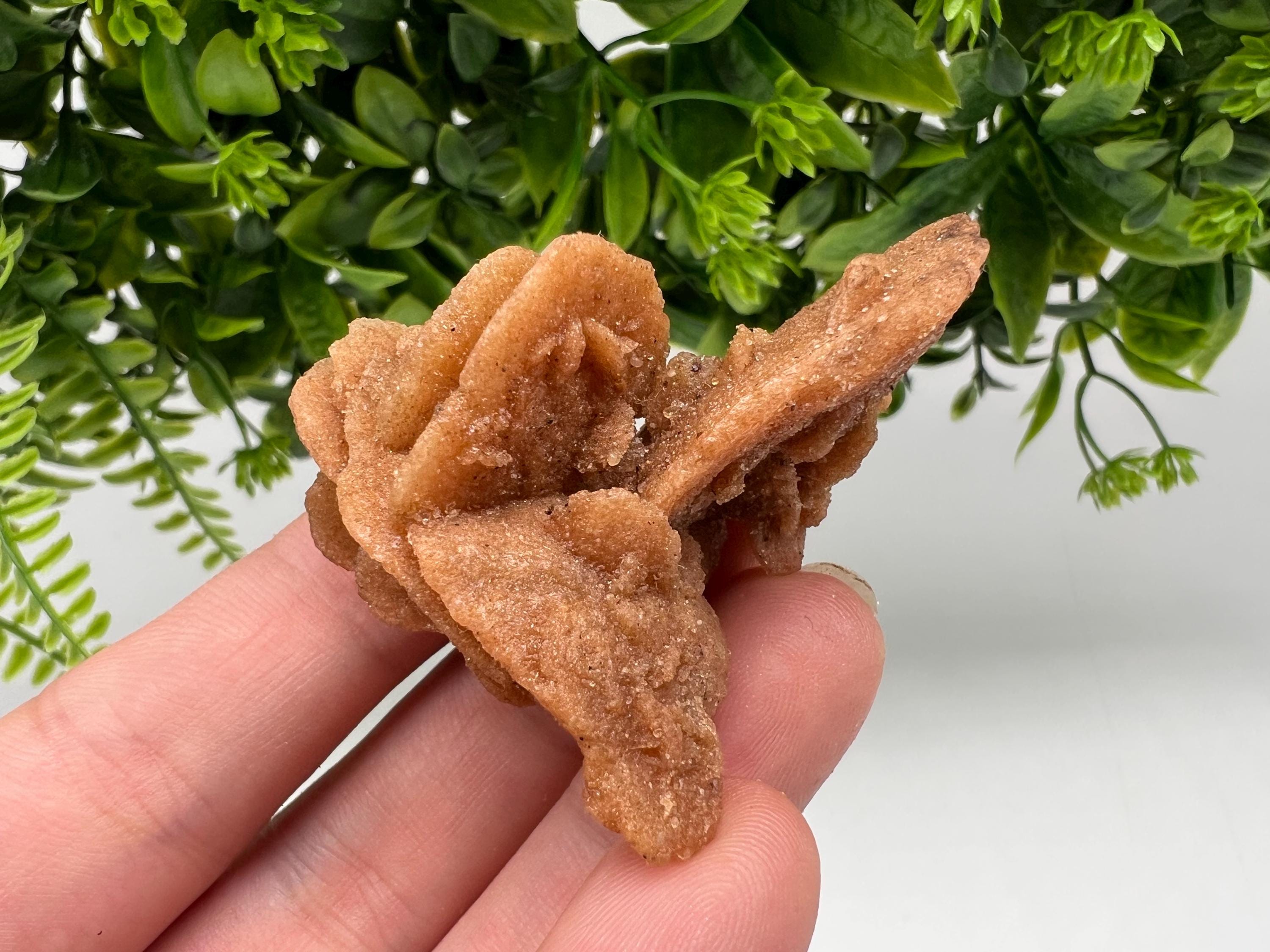 Desert Rose Crystal: Root Chakra Healing Selenite Stone