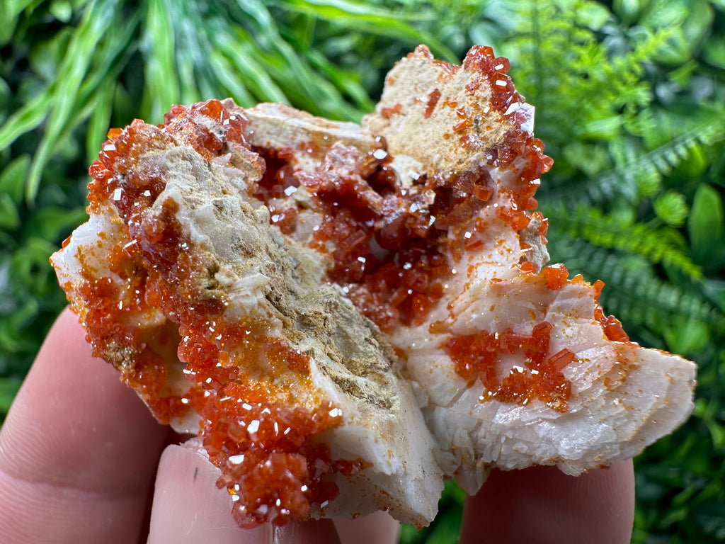 Red Vanadinite Crystal Cluster on Matrix, Morocco Mineral Specimen