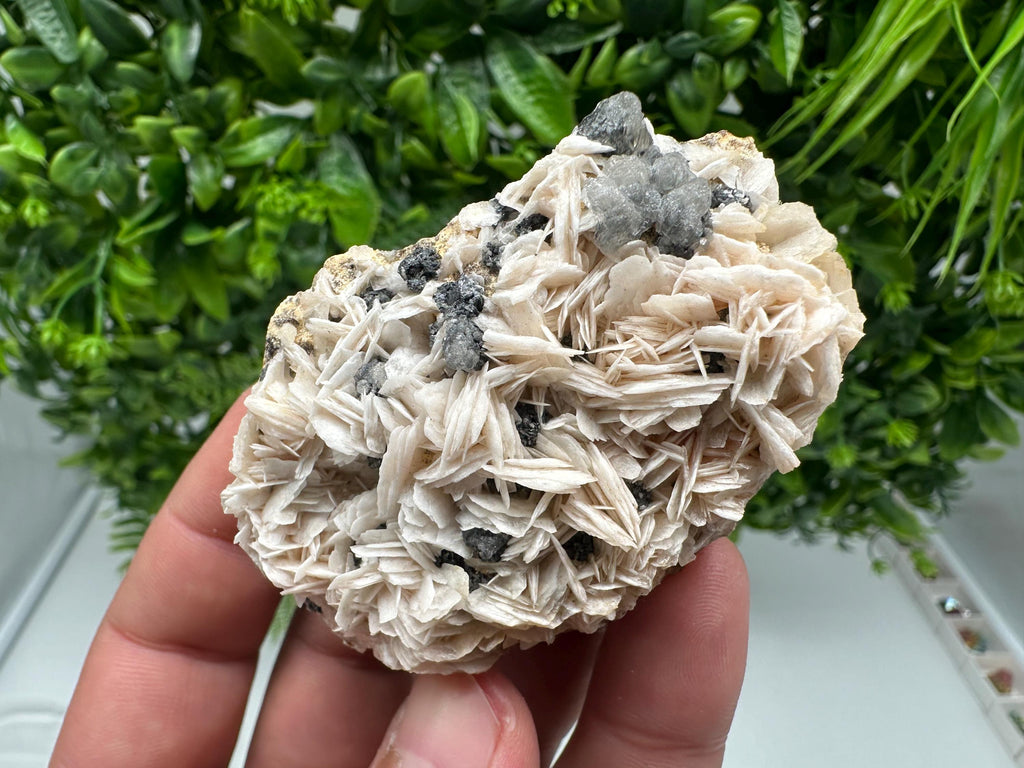 Wonderful Baryte with Cerussite on Galena from Morocco,Crystal, Mineral,Specimen,Cluster,Crystals,Barite Crystal,Cerussite Crystal,Specimen