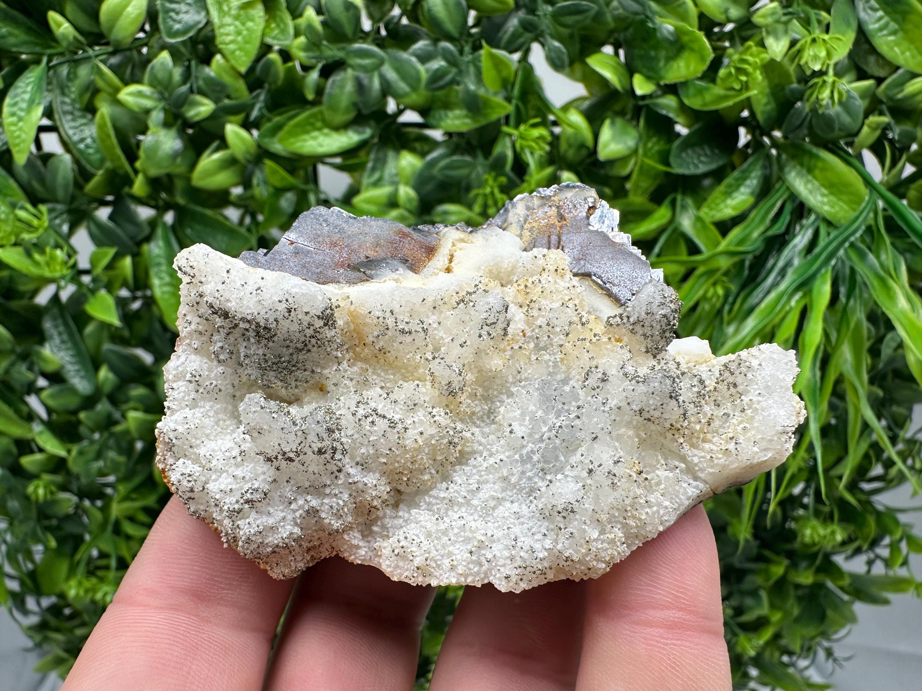 Galena Marcasite on Chalcedony: Androvo Mine Bulgaria Crystal