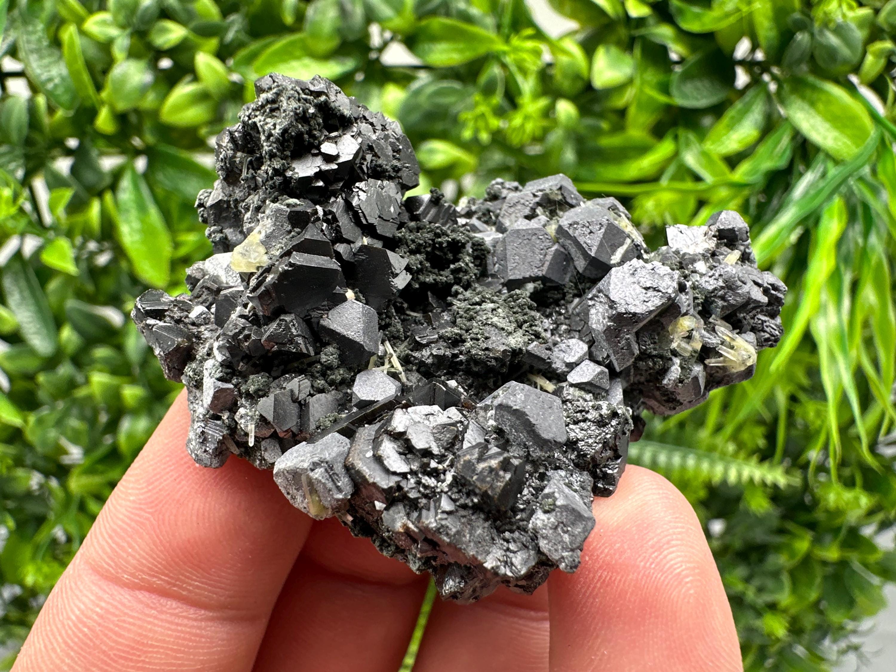 Sphalerite Galena Chlorite Cluster, Borieva Mine, Bulgaria