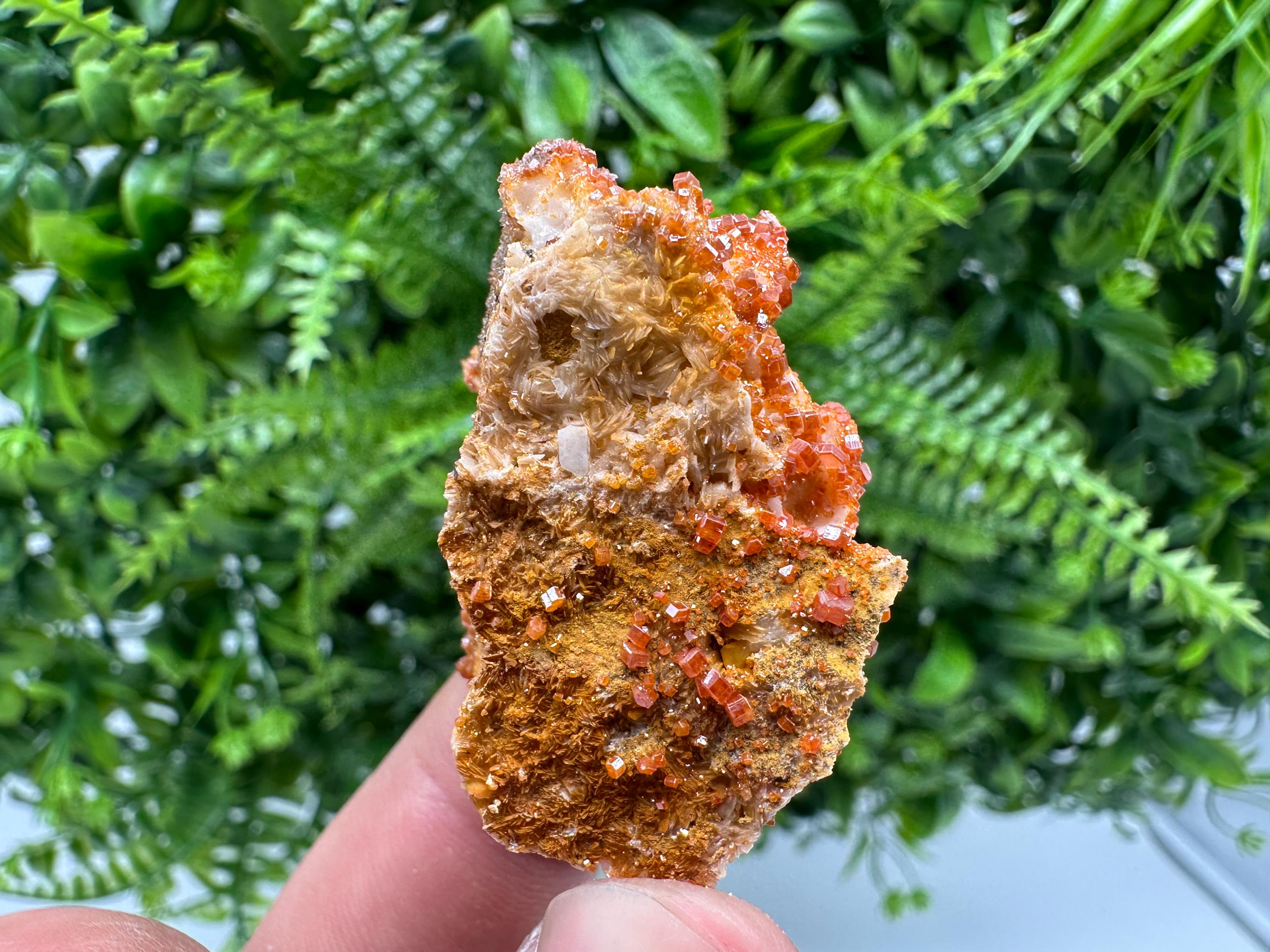 Red Vanadinite Crystal Cluster on Matrix, Morocco Mineral Specimen
