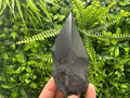 10cm Polished Shungite Crystal: EMF Protection Stone