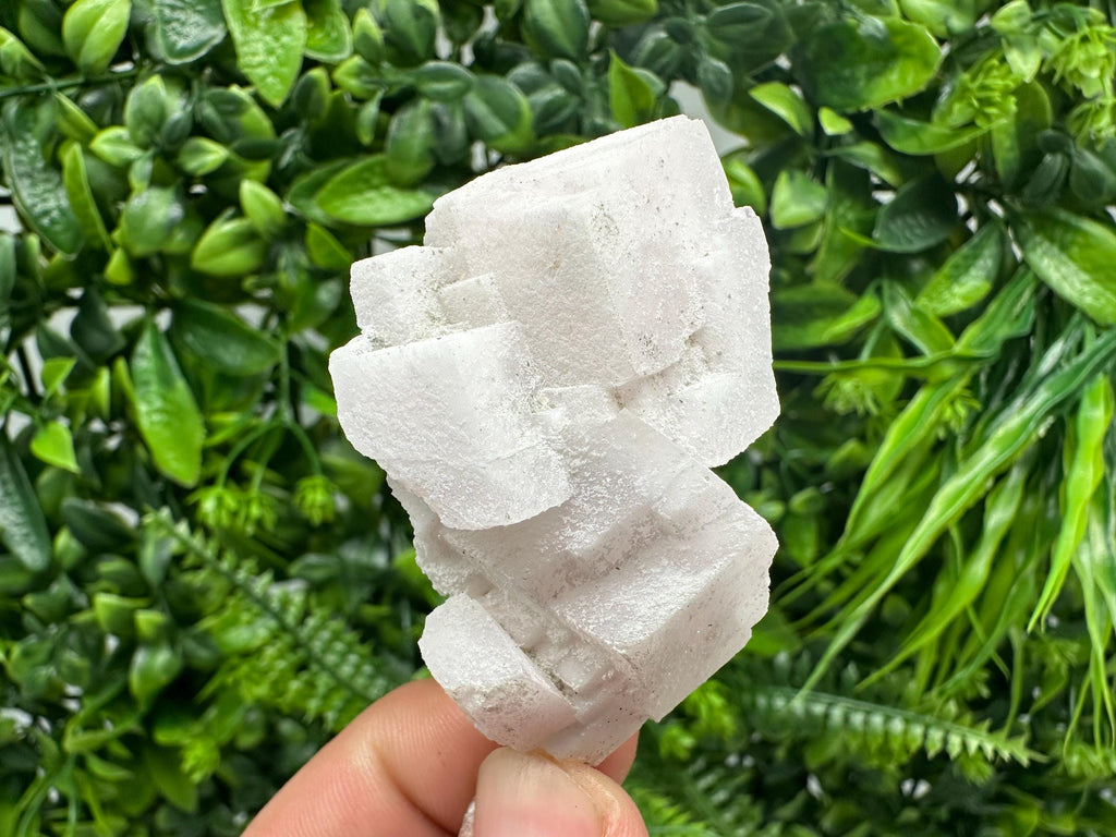 Fluorescent Mangano Calcite Specimen: Rhodopes Bulgaria Mineral