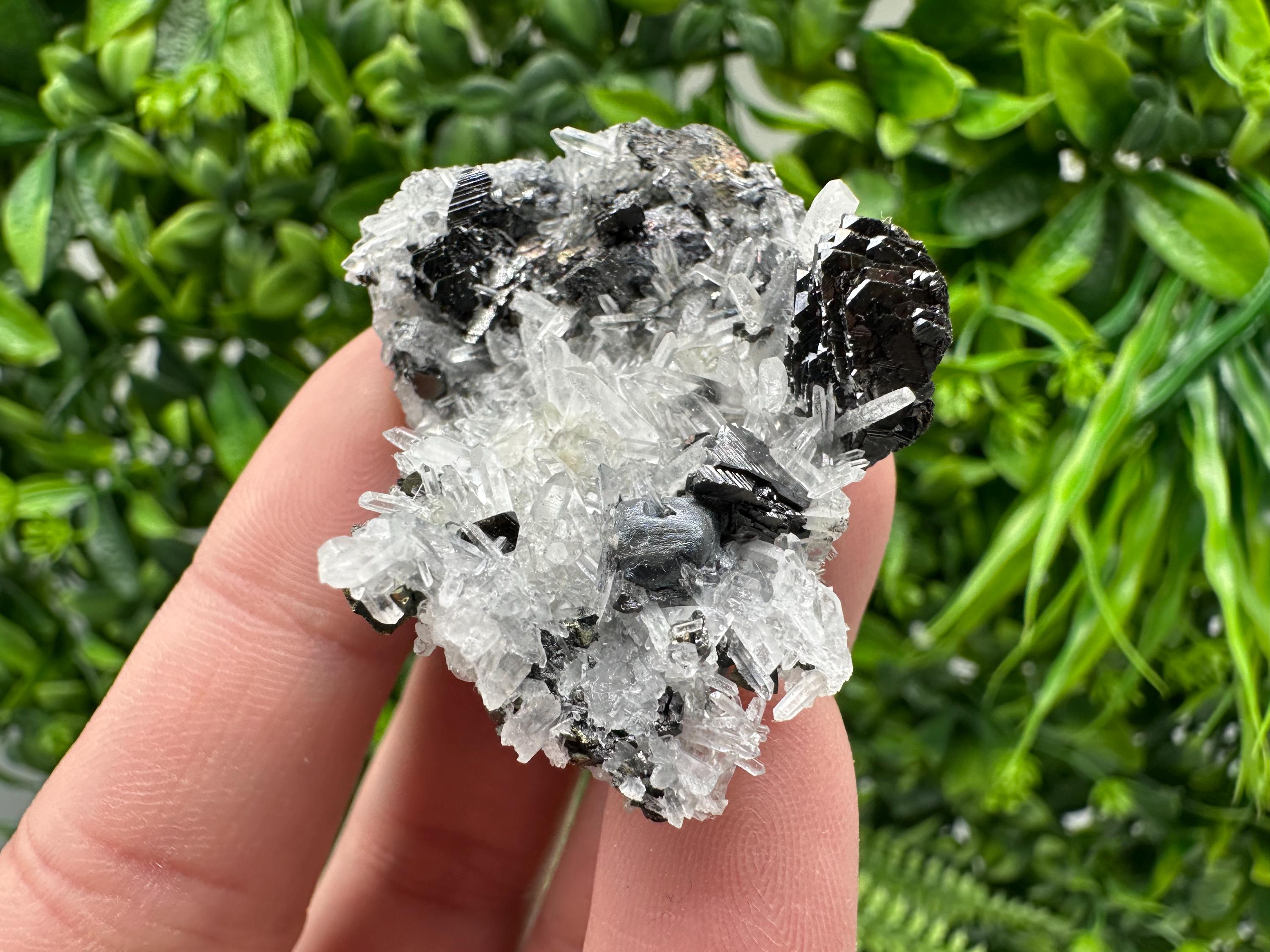 Wonderful Sphalerite Chalcopyrite on  Quartz whit Galena feom 9 th September mine,Bulgaria,natural,collection mineral specimen,gift
