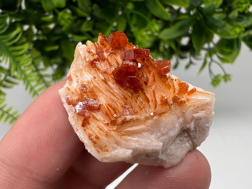Red Vanadinite on Barite Specimen, Moroccan Crystal Mineral Cluster