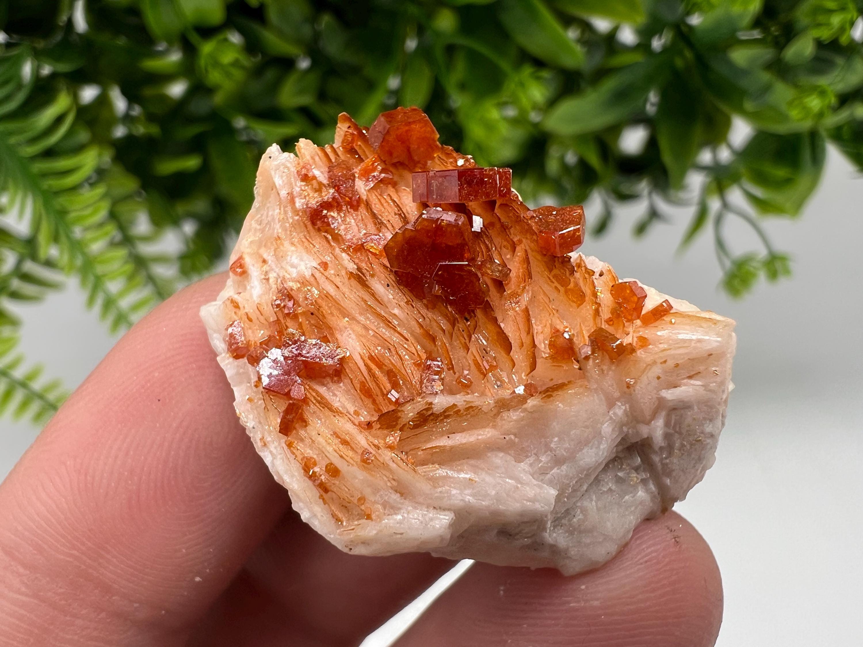 Red Vanadinite on Barite Specimen, Moroccan Crystal Mineral Cluster