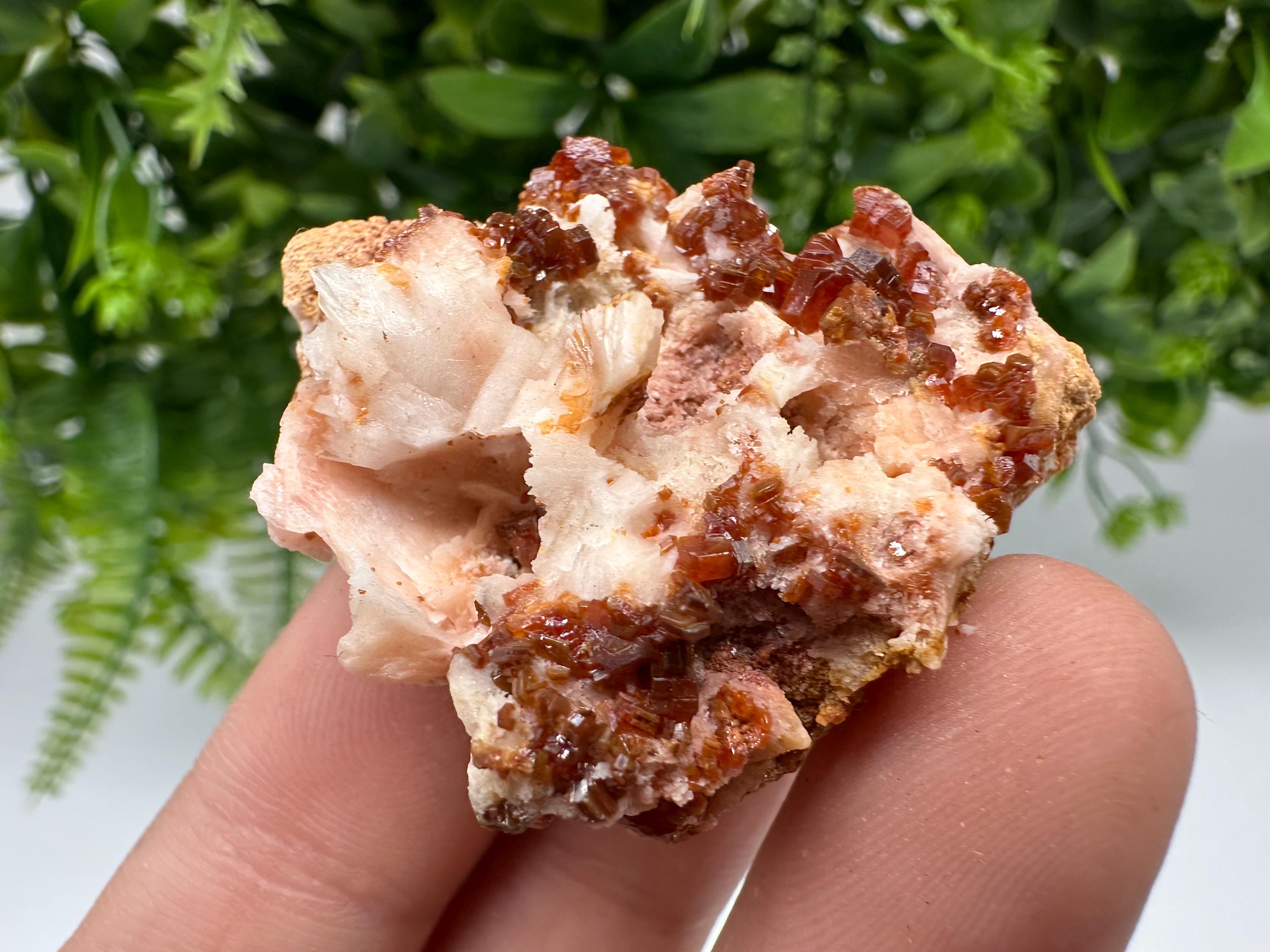 Red Vanadinite on Barite from Marocco,crystal minerals Speciment cluster Vanadinite crystal Vanadinite Geology Vanadinite cluster minerals