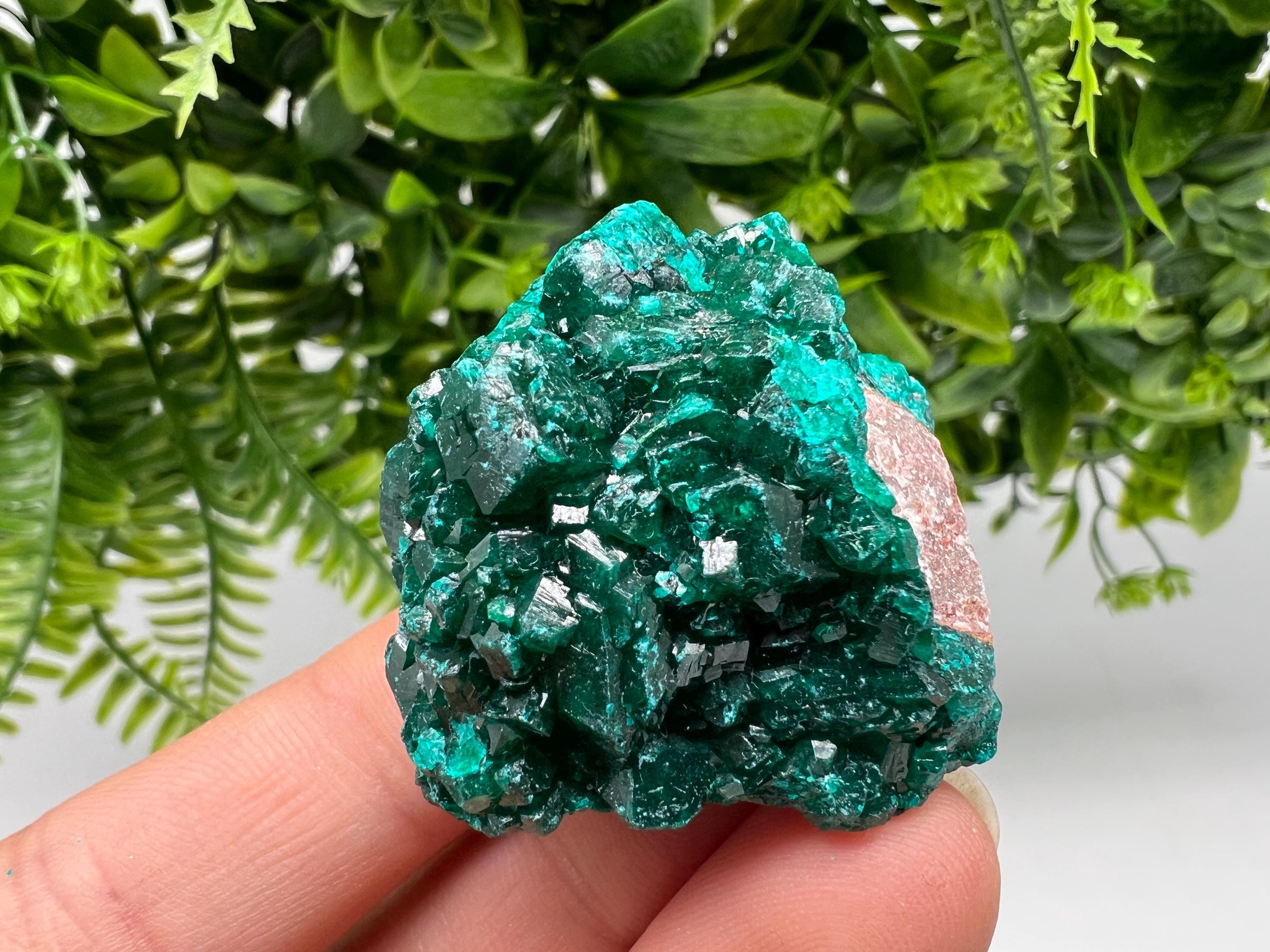Stunning Green Dioptase from Sanda Hills,Mindouli,Pool Department,Mindouli District,Congo,green Dioptase,Dioptas Crystal,Dioptase collecting
