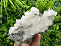 Borieva Mine Pyrite Calcite Cluster on Matrix: Bulgaria Home Decor Stone