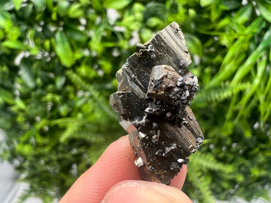 Mini Rainbow Pyrite Cluster: Borieva Mine, Bulgaria