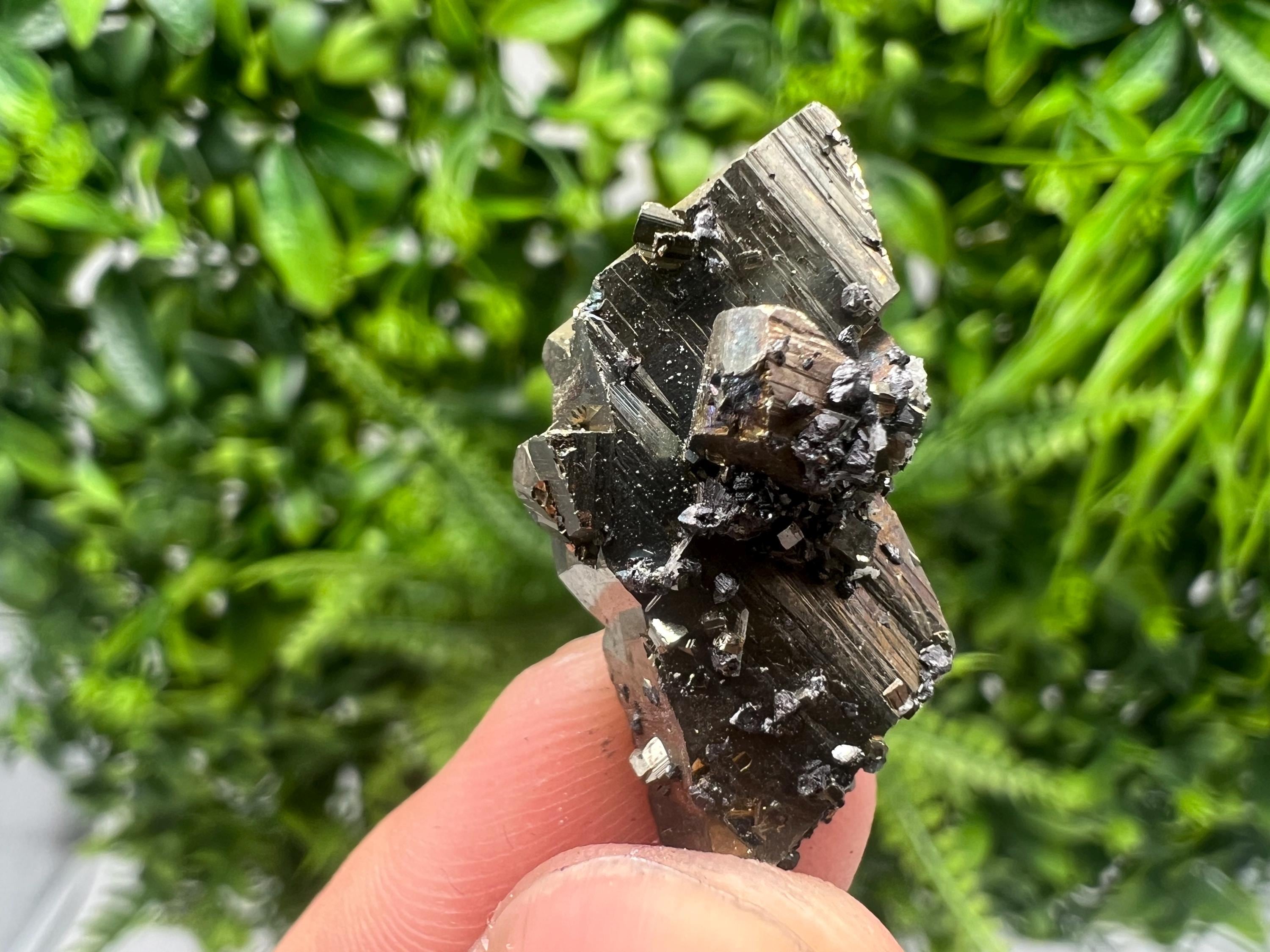 Mini Rainbow Pyrite Cluster: Borieva Mine, Bulgaria