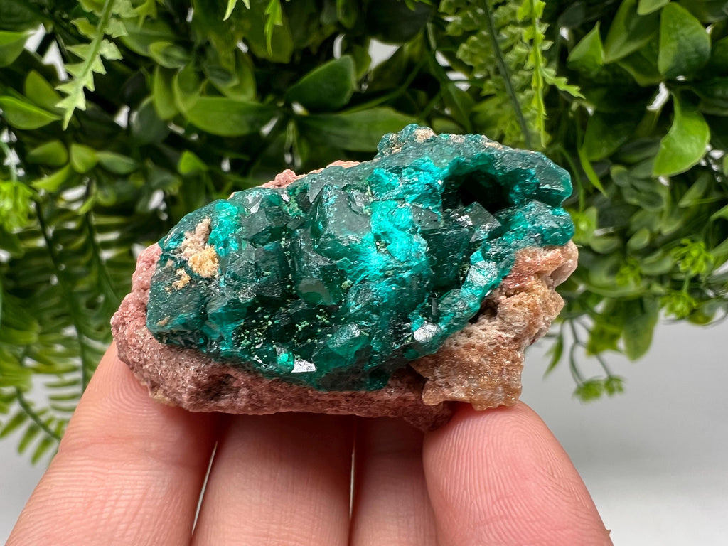 Stunning Green Dioptase from Sanda Hills,Mindouli,Pool Department,Mindouli District,Congo,green Dioptase,Dioptas Crystal,Dioptase collecting