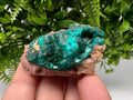 Stunning Green Dioptase from Sanda Hills,Mindouli,Pool Department,Mindouli District,Congo,green Dioptase,Dioptas Crystal,Dioptase collecting