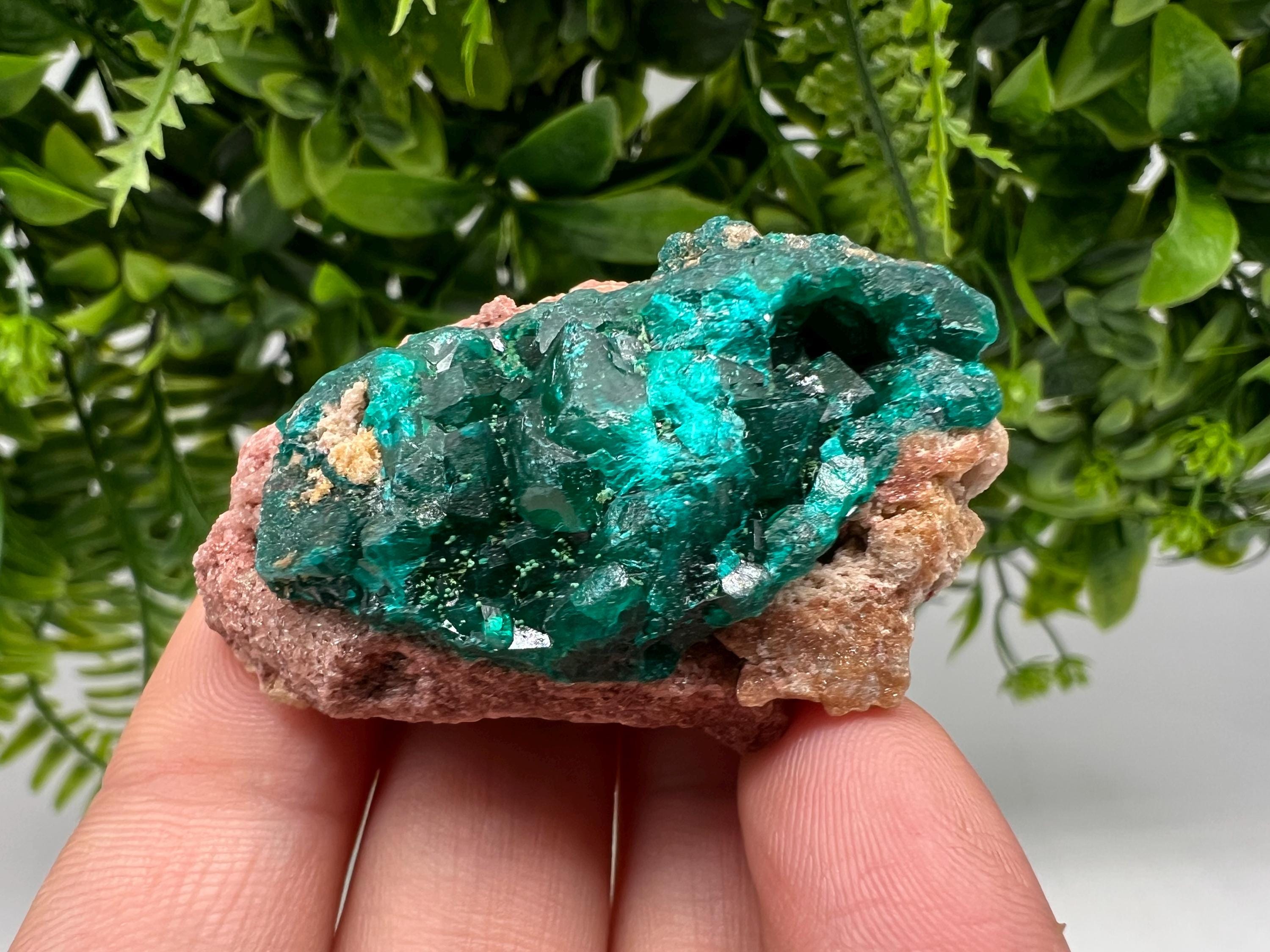 Stunning Green Dioptase from Sanda Hills,Mindouli,Pool Department,Mindouli District,Congo,green Dioptase,Dioptas Crystal,Dioptase collecting