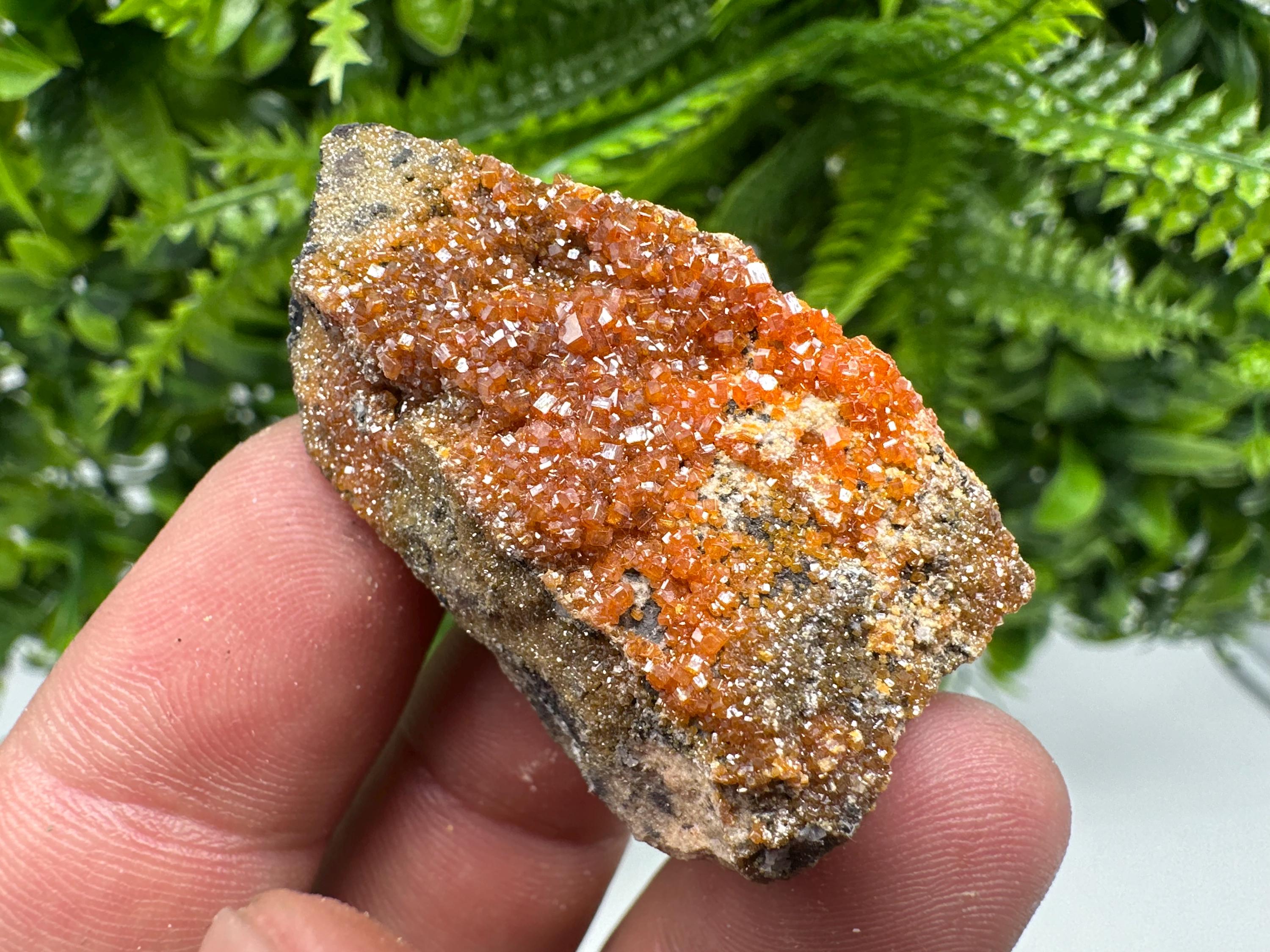 Red Vanadinite Crystal Cluster on Matrix, Morocco Mineral Specimen