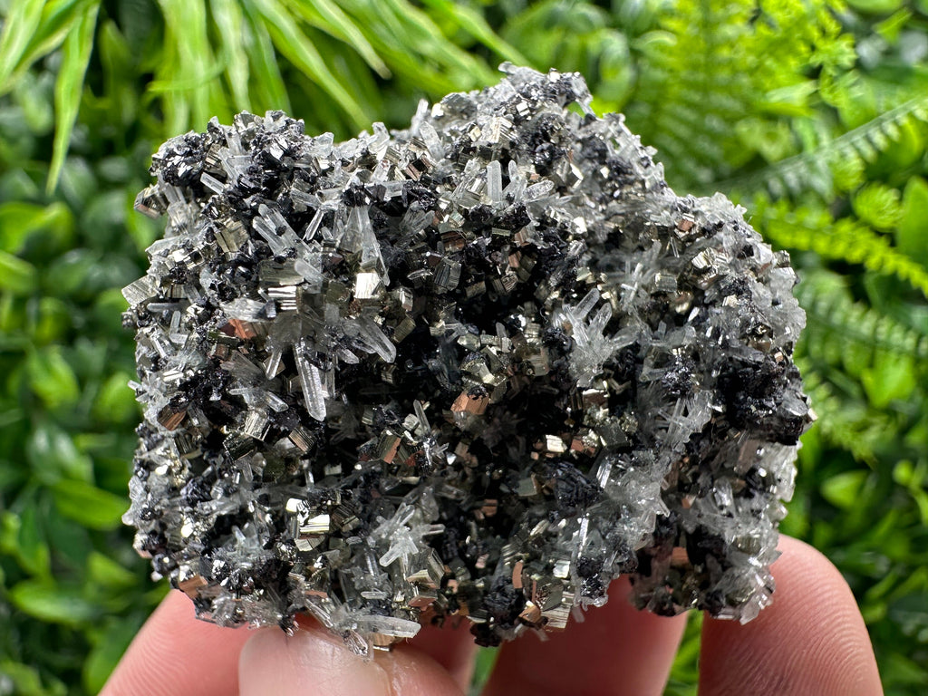 Pyrite on Quartz Needles, Borieva Mine Bulgaria, Mineral Specimen
