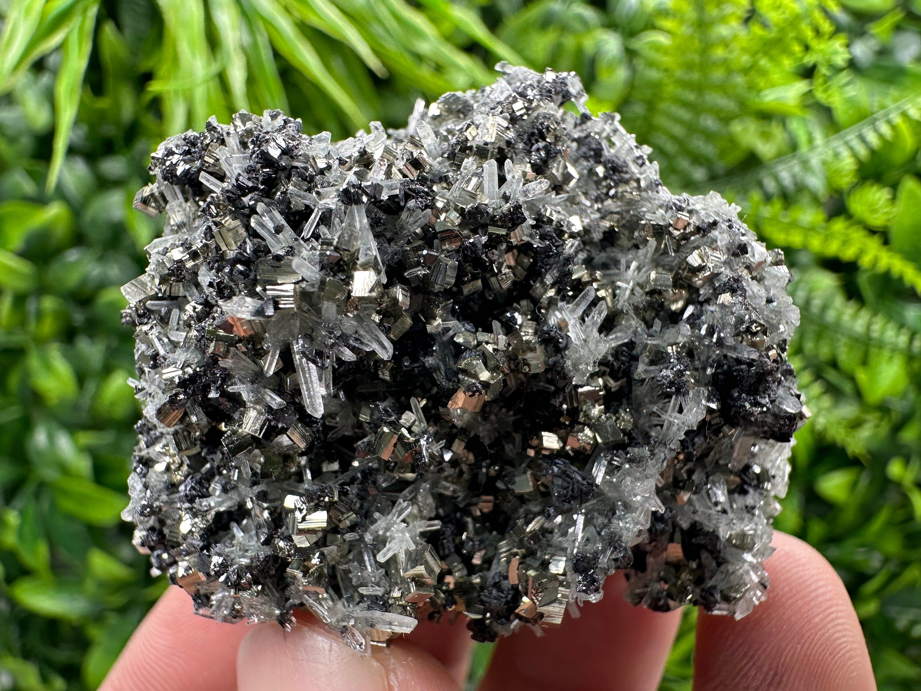 Pyrite on Quartz Needles, Borieva Mine Bulgaria, Mineral Specimen