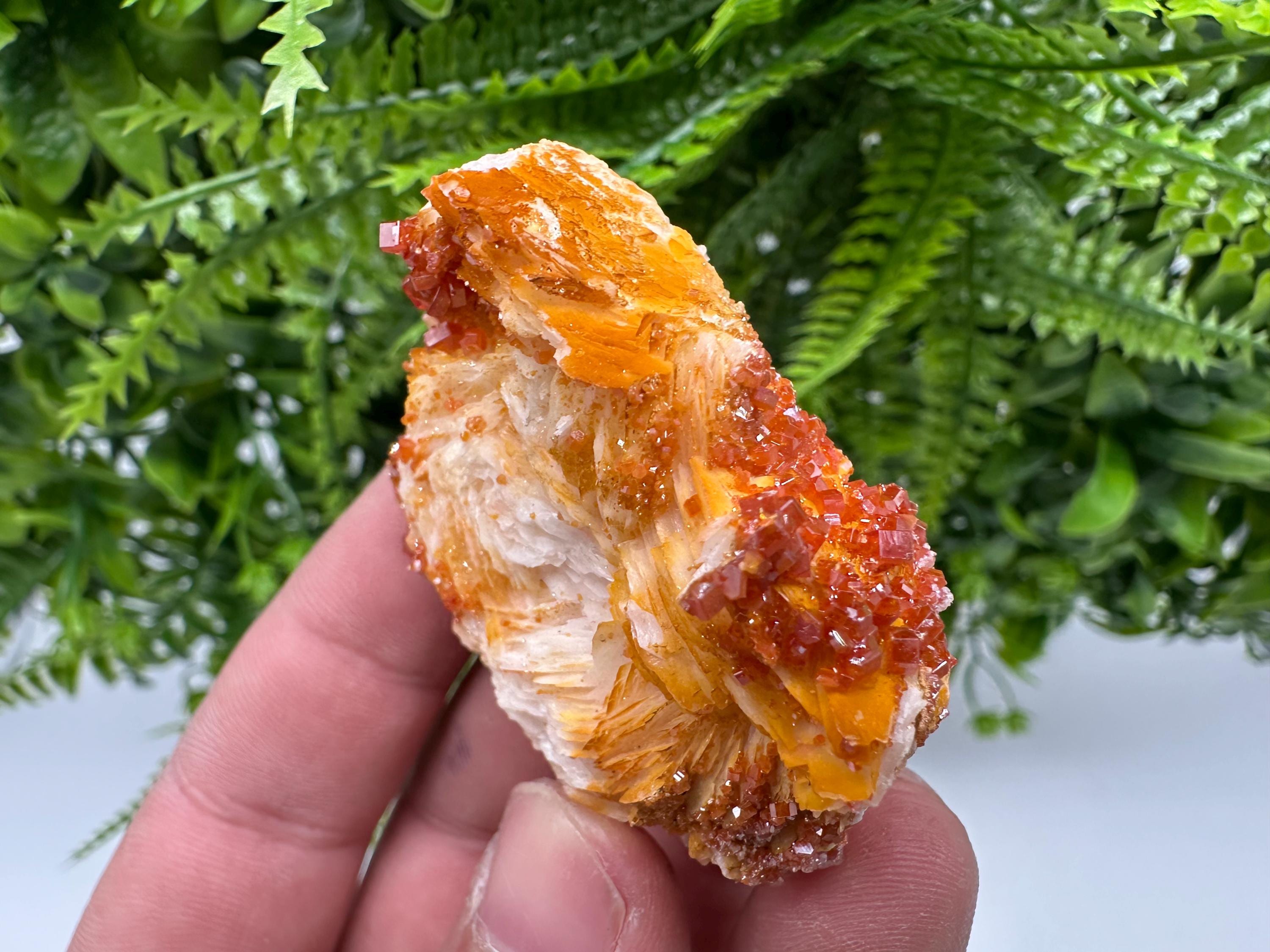 Red Vanadinite on Barite, Morocco Mineral Specimen