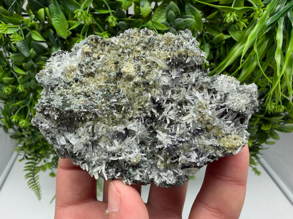 Quartz with Epidote on Matrix, Borieva Mine Bulgaria