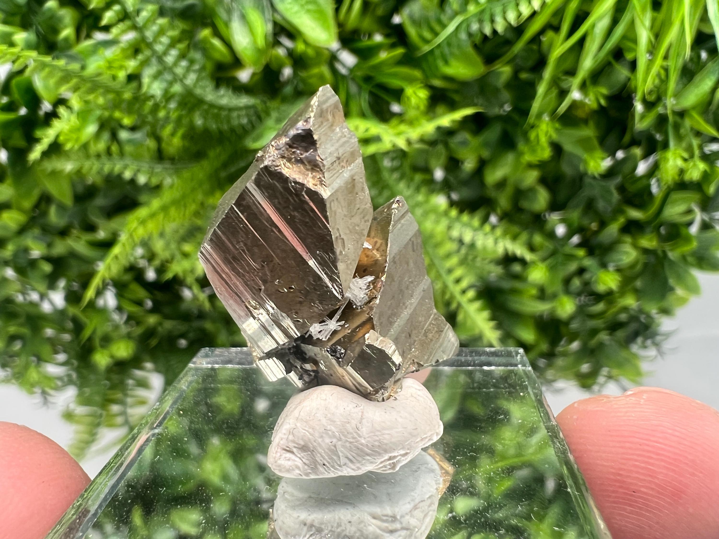 Mini Rare crystallisation Pyrite,Borieva mine,Bulgaria,floating Pyrite,golden Pyrite,Pyrite cluster,mini Collection specimen,Rainbow Pyrite