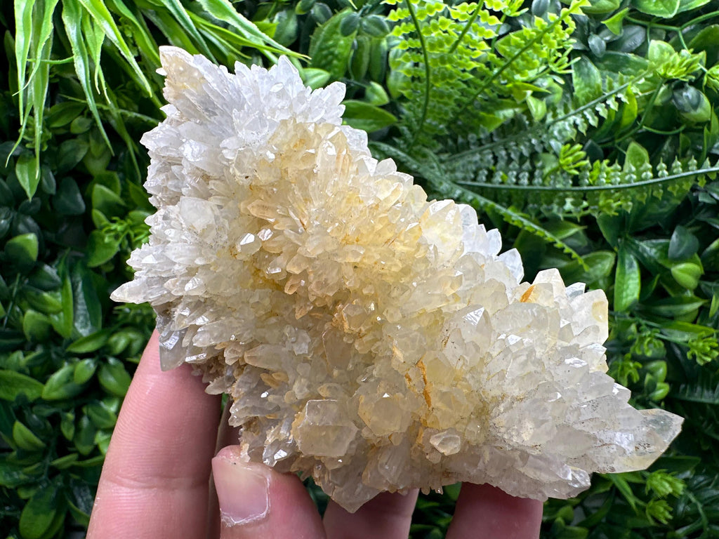 Limonite Quartz Crystal Cluster: Iron Oxide Mineral Specimen