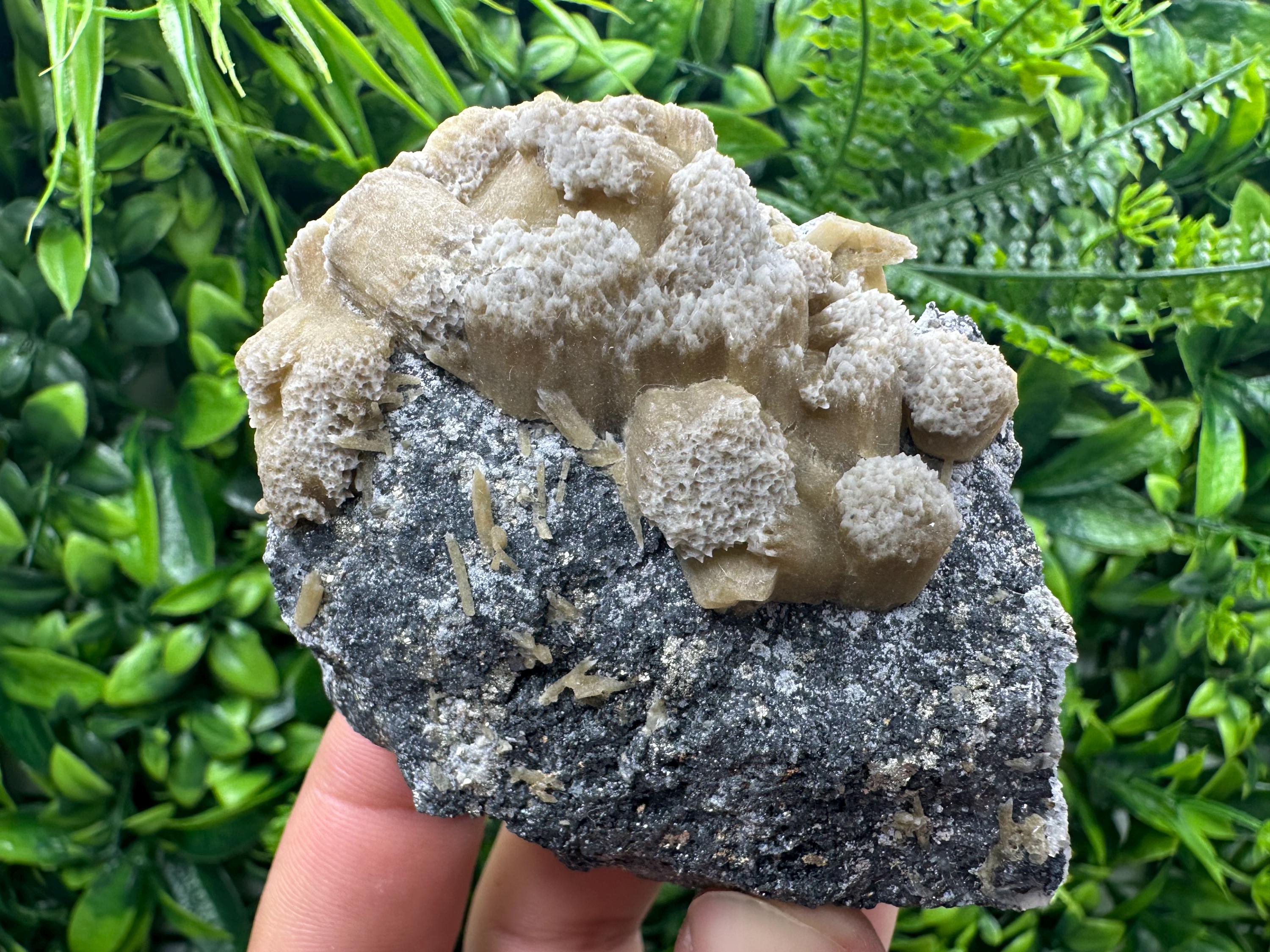 Rare Calcite Cluster on Matrix, Bulgaria Mineral Specimen