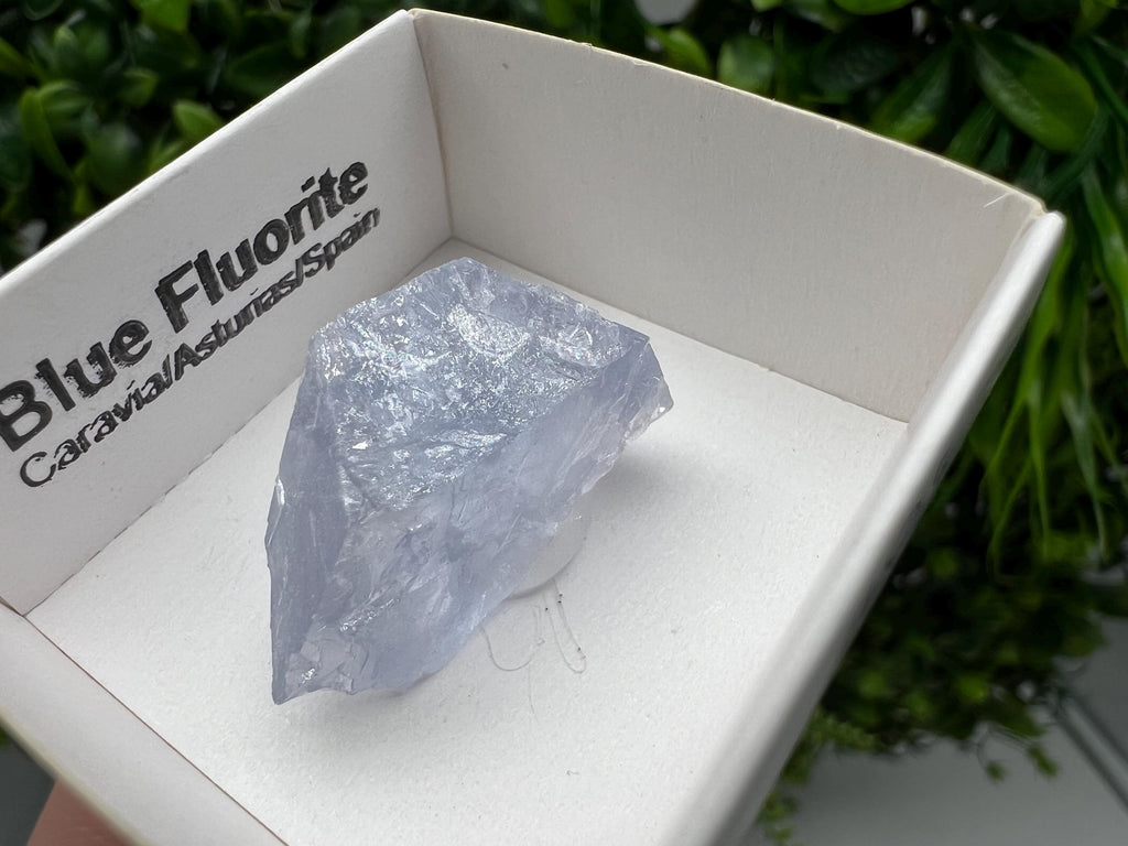 Blue Fluorite Mineral Specimen: Spanish Crystal Collection (2.5/1.5 cm)