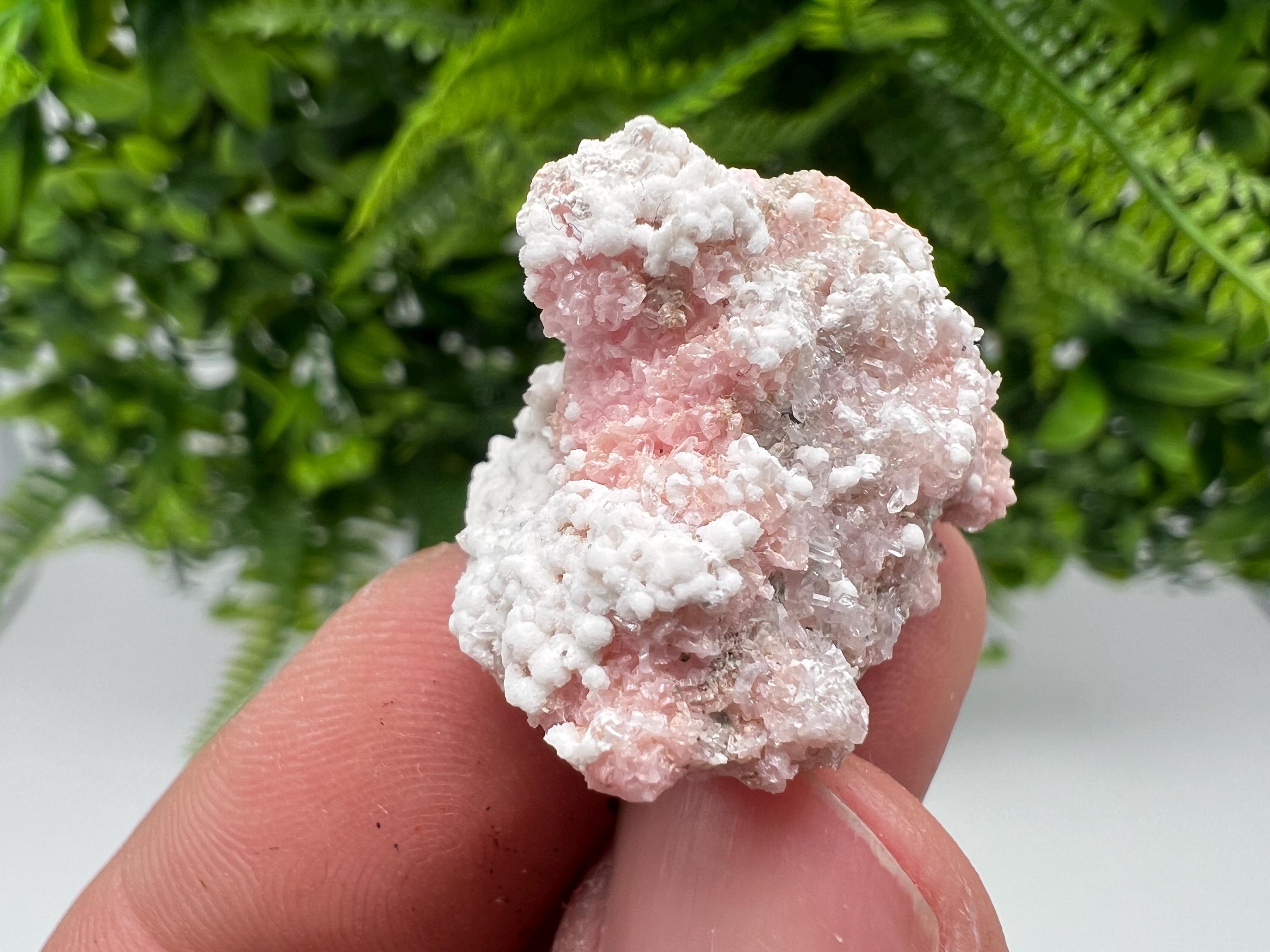 RARE Rhodochrosite whit white Calcite,pink mineral,Starnica Mine,Davidcovo,Bulgaria natural mineral,souvenir crystal,home decor,collectible
