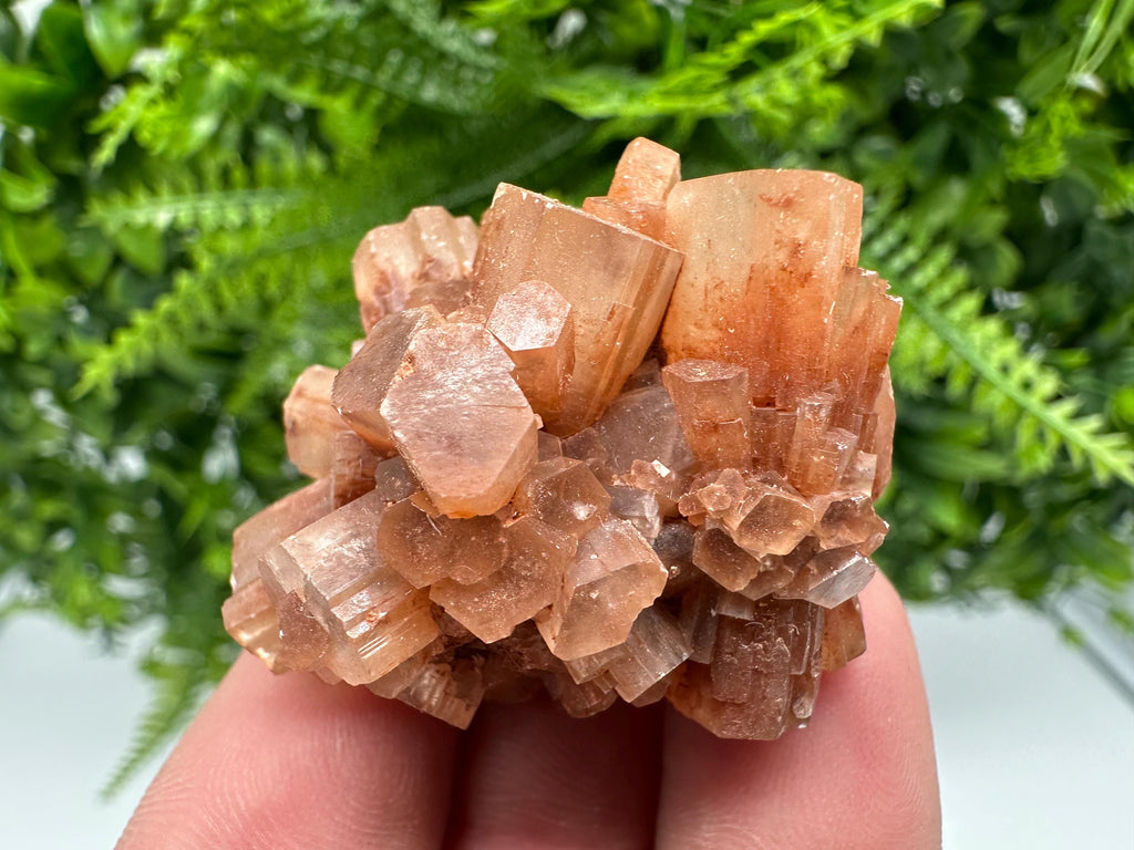 Moroccan Aragonite Sputnik Cluster: Raw Crystal Stone Decor