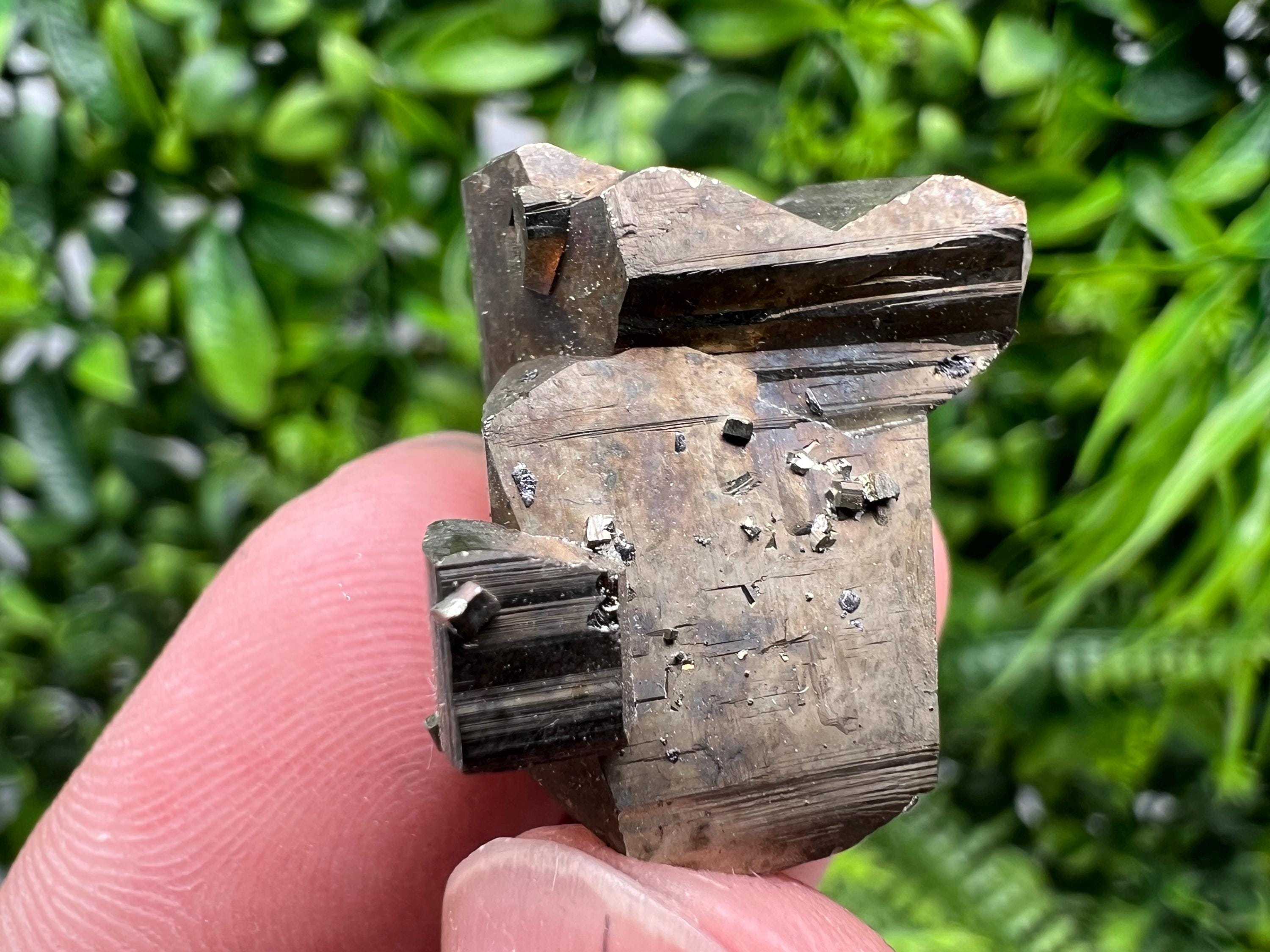 Mini Rainbow Pyrite Cluster: Borieva Mine, Bulgaria