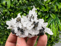 Wonderful Sphalerite Chalcopyrite on Green Quartz whit Hematite feom 9 th September mine,Bulgaria,natural,collection mineral specimen,gift