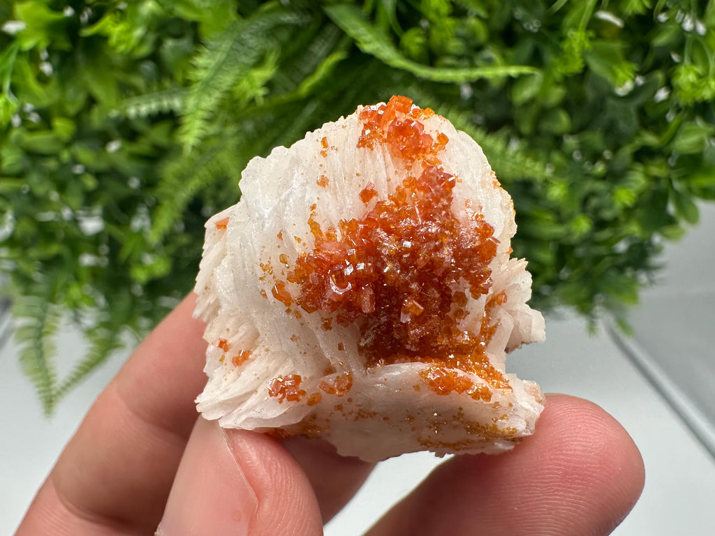 Red Vanadinite on Barite from Marocco,crystal minerals Speciment cluster Vanadinite crystal Vanadinite Geology Vanadinite cluster minerals