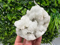 Apophyllite Stilbite Chalcedony Specimen: India Minerals Collection