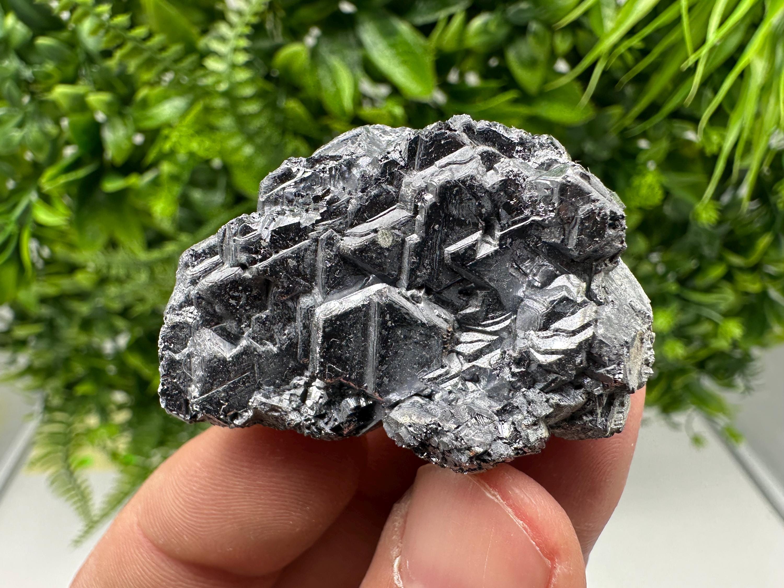Galena Spinel Law Mineral Specimen: Krushev Dol, Bulgaria