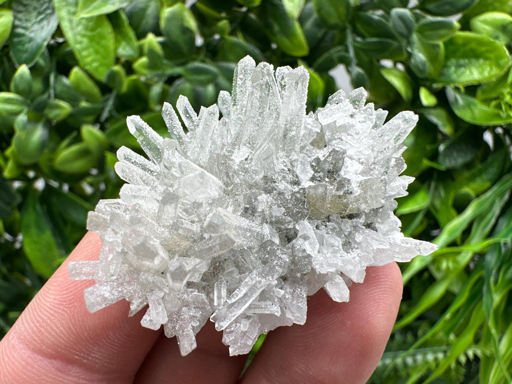 Transparent Quartz on Chlorite Matrix, Borieva Mine, Bulgaria