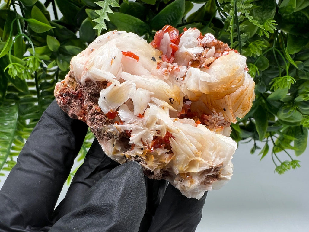 Red Vanadinite on Barite from Marocco,crystal minerals Speciment cluster Vanadinite crystal Vanadinite Geology Vanadinite cluster minerals