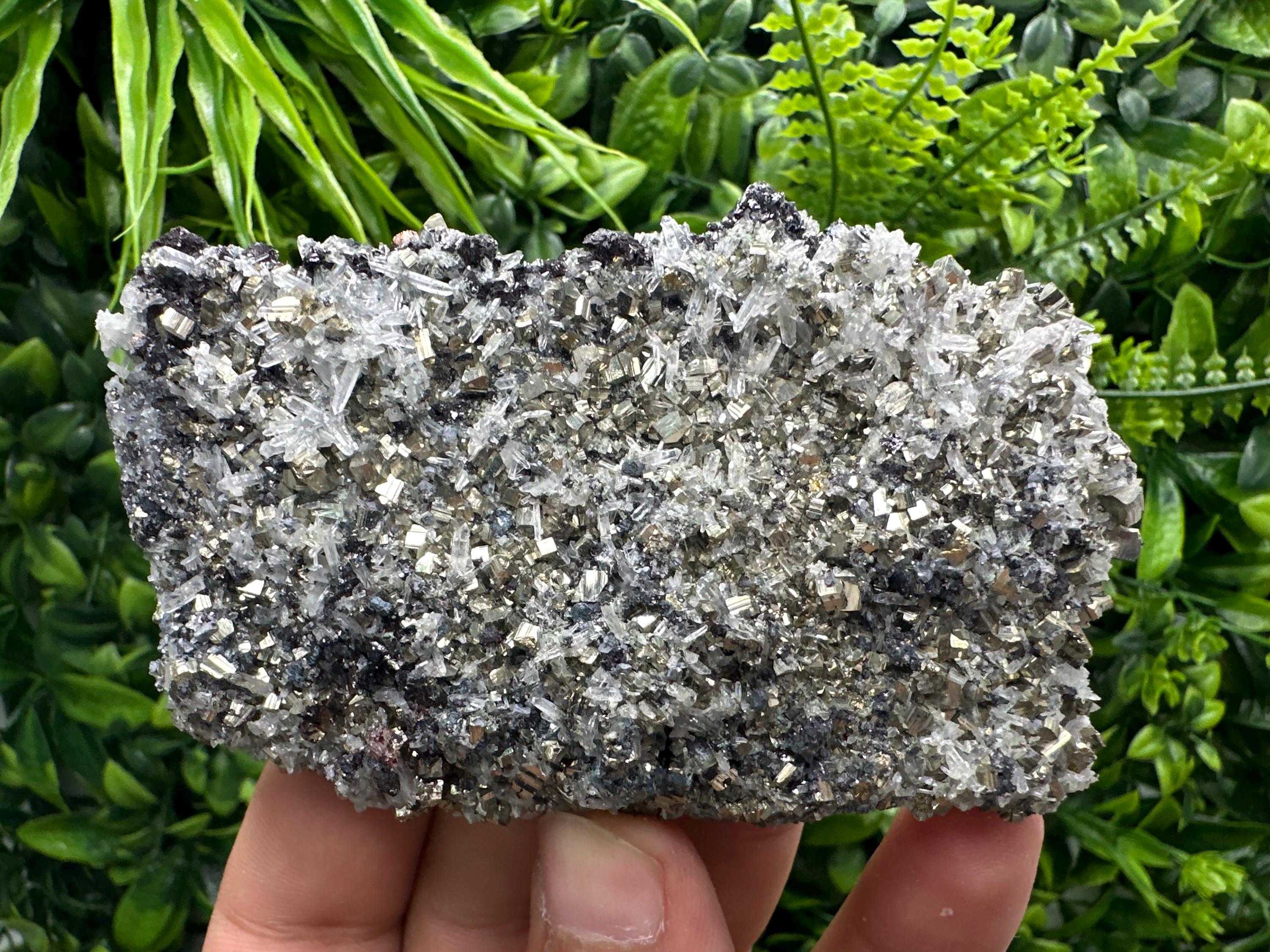 Galena Sphalerite Pyrite on Quartz, Borieva Mine, Bulgaria