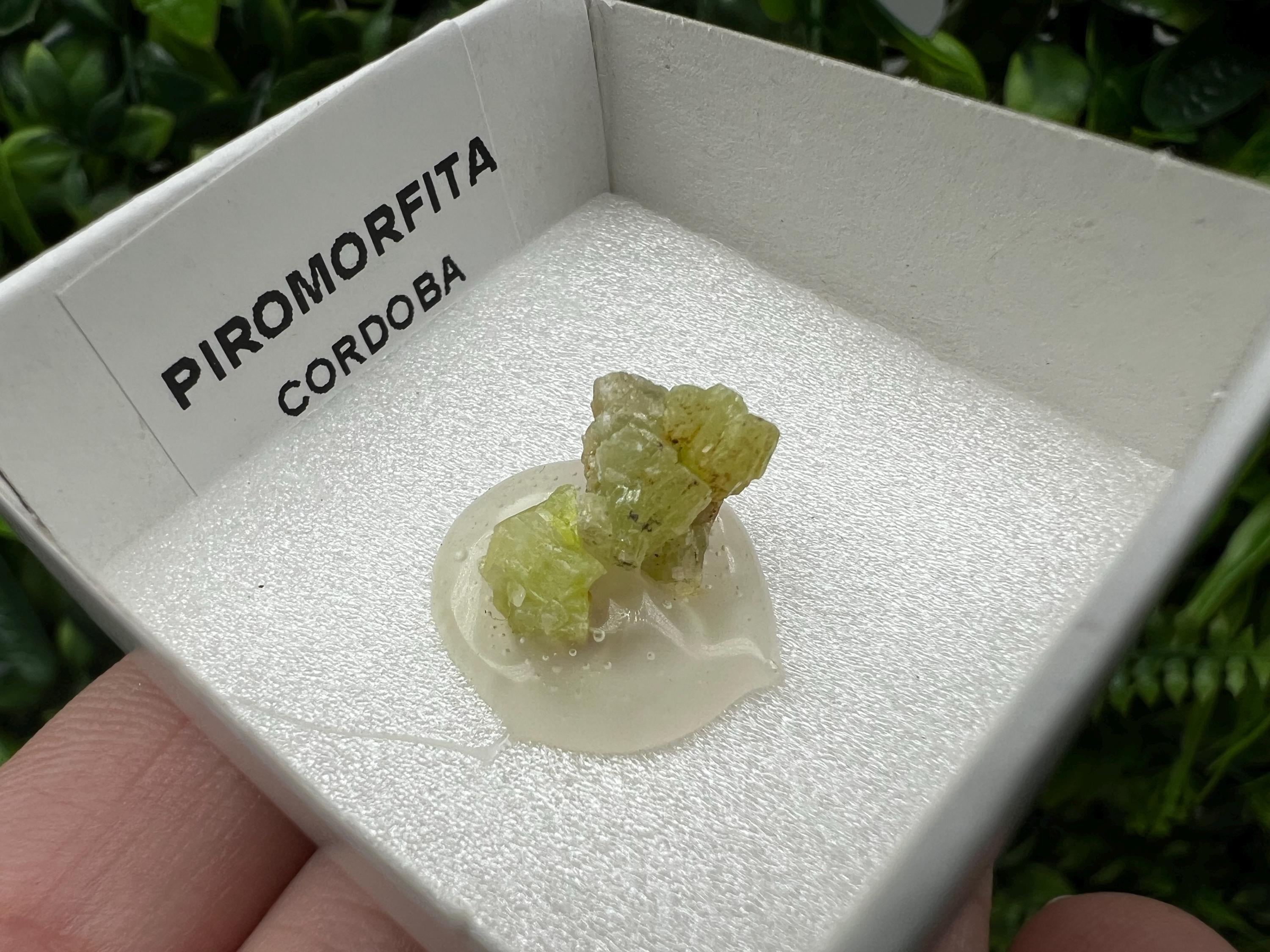 Pyromorphite Stone / Pyromorphite on Matrix / Pyromorphite Crystal / Raw Crystal / Pyromorphite Cluster / Rough Pyromorphite / Pyromorphite
