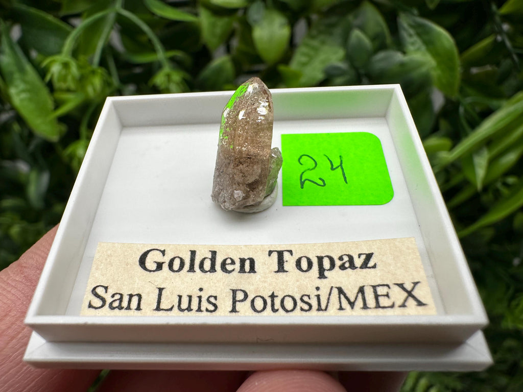 Golden Topaz Crystal, Mineral Specimen from Mexico