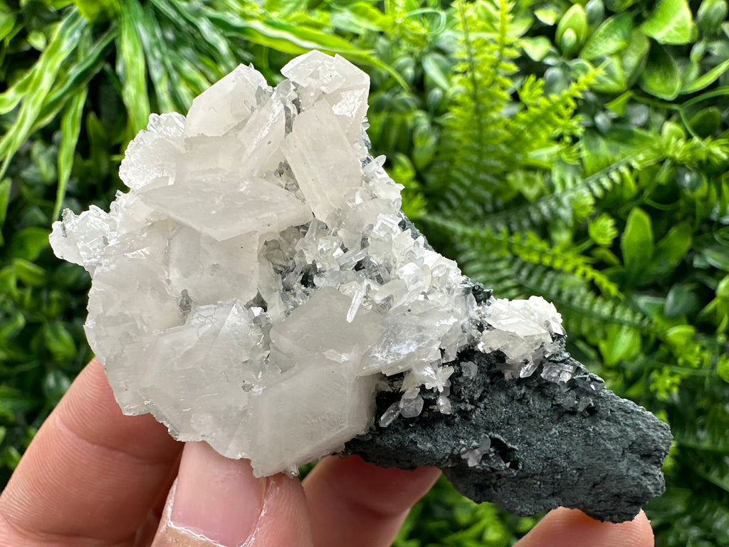 Calcite on Matrix, Borieva Mine Bulgaria, Rare Mineral Specimen