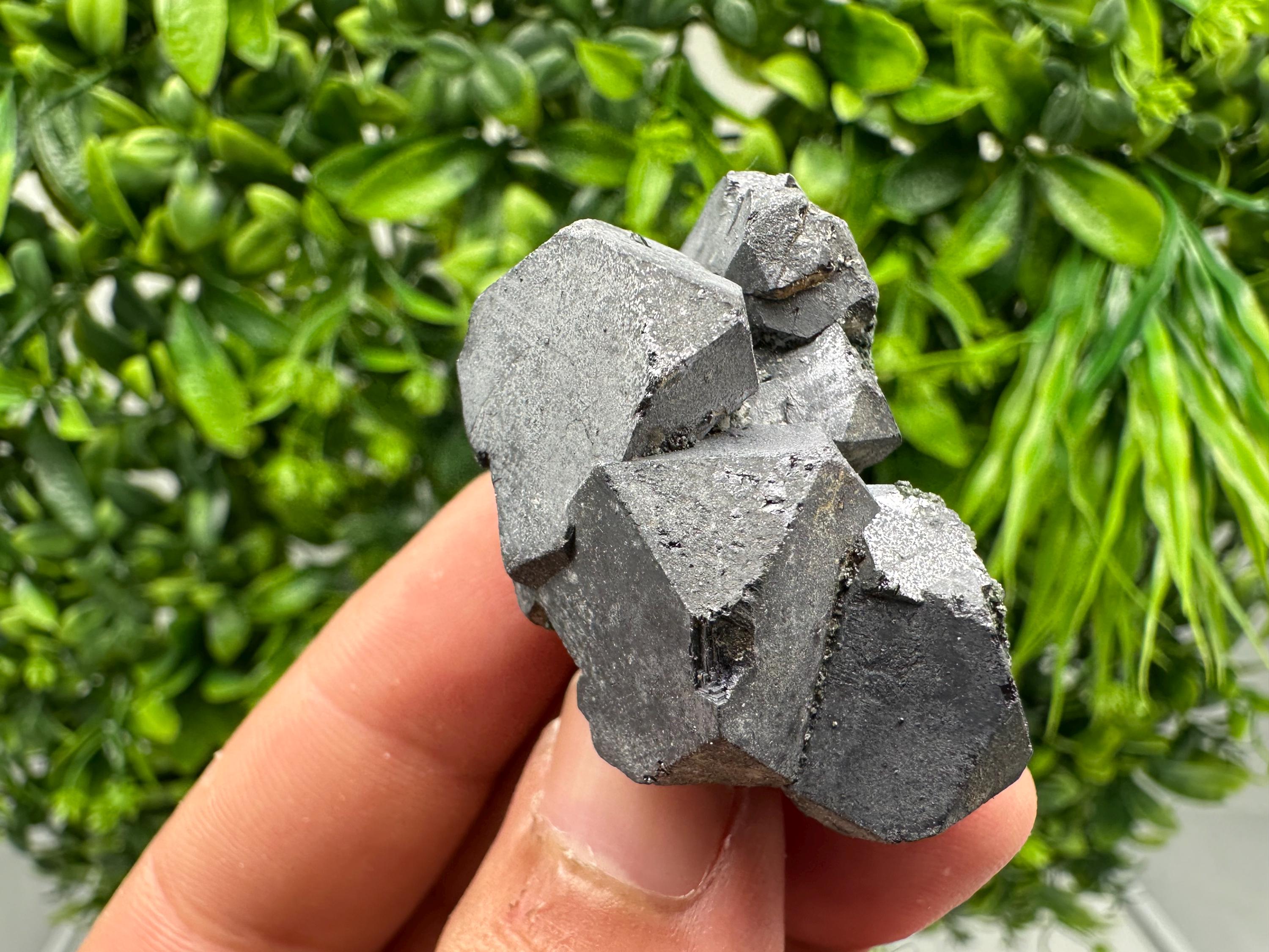 Shiny Galena Cluster, Borieva Mine, Madan, Bulgaria