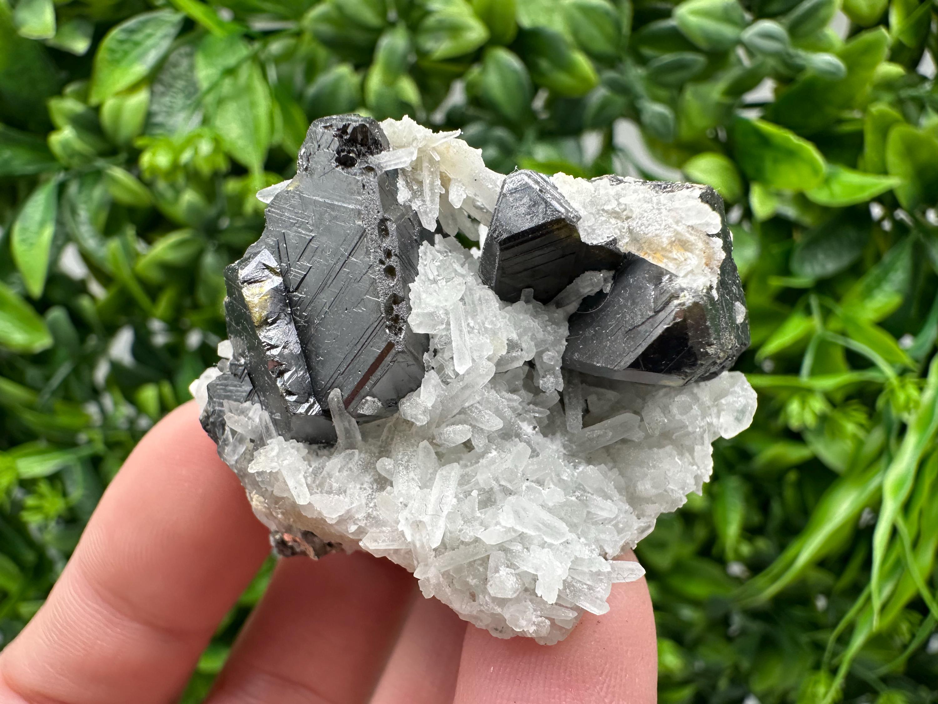 Wonderful Sphalerite Chalcopyrite on  Quartz whit Galena feom 9 th September mine,Bulgaria,natural,collection mineral specimen,gift