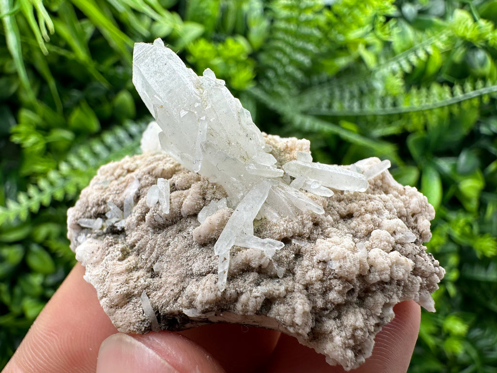 Quartz with Chlorite, Rhodochrosite, Siderite - Mineral Specimen
