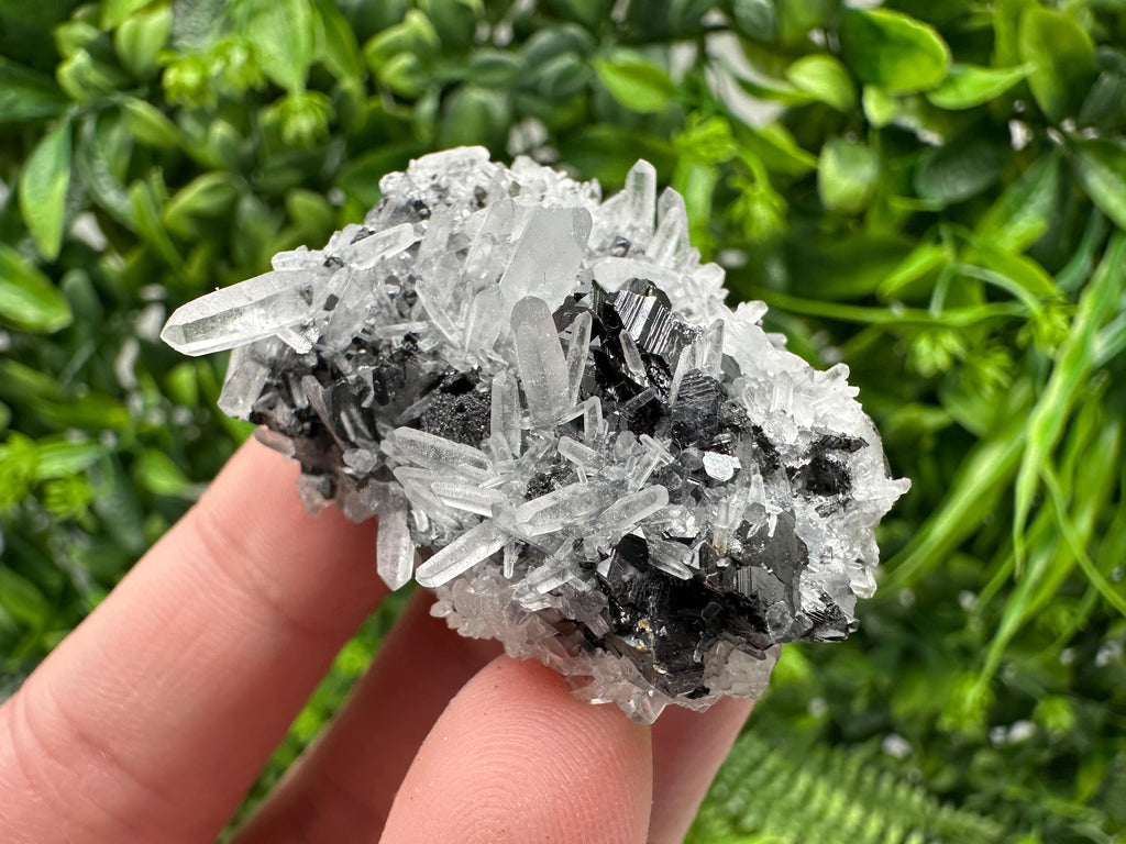 Wonderful Sphalerite Chalcopyrite on  Quartz whit Galena feom 9 th September mine,Bulgaria,natural,collection mineral specimen,gift