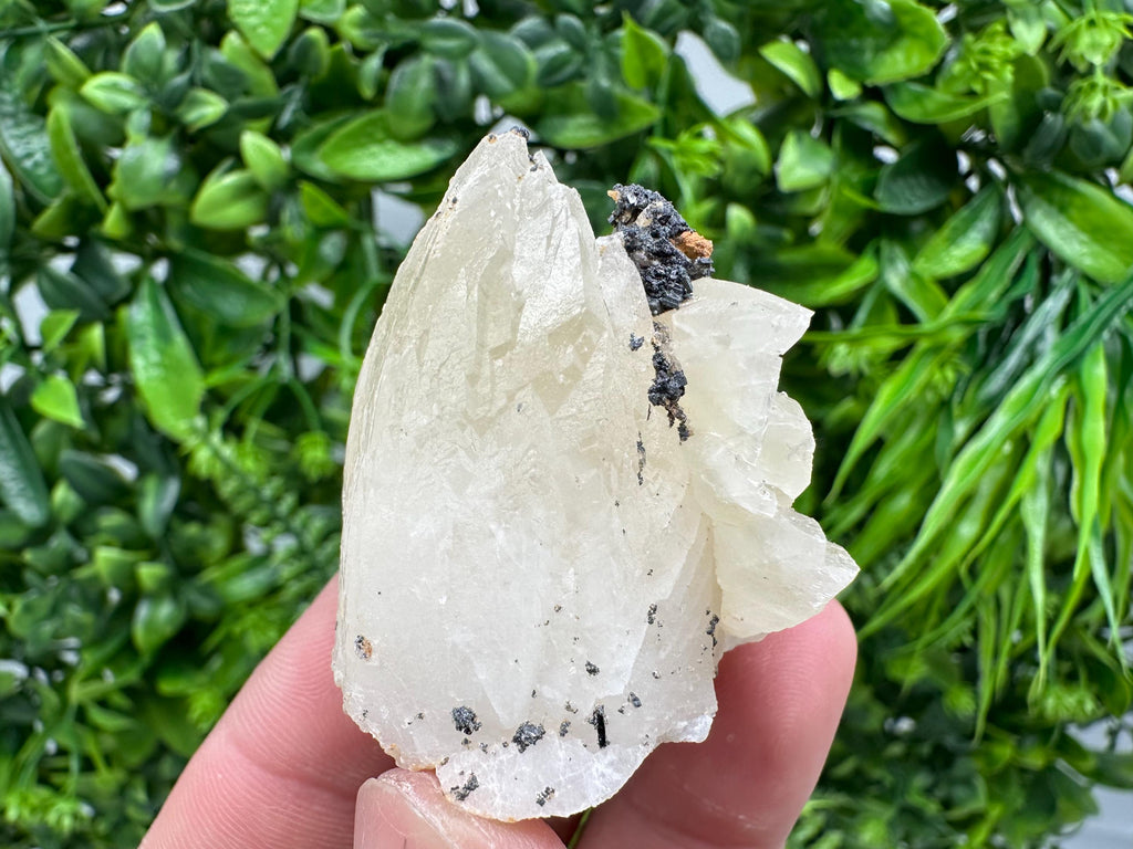Calcite on Aragonite: Djurcovo Mine, Bulgaria Crystal