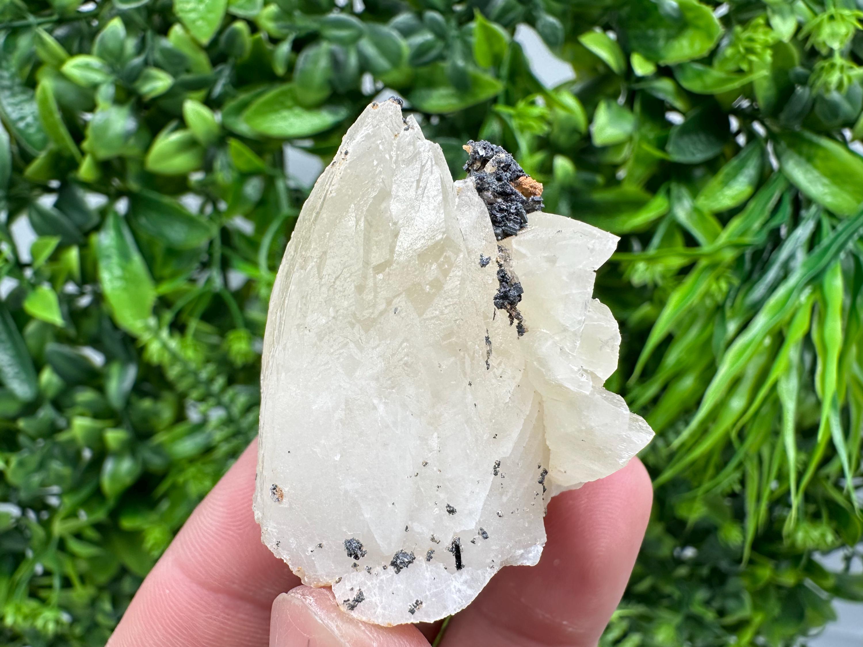 Calcite on Aragonite: Djurcovo Mine, Bulgaria Crystal