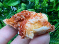 Red Vanadinite on Barite Specimen, Morocco Crystal Mineral